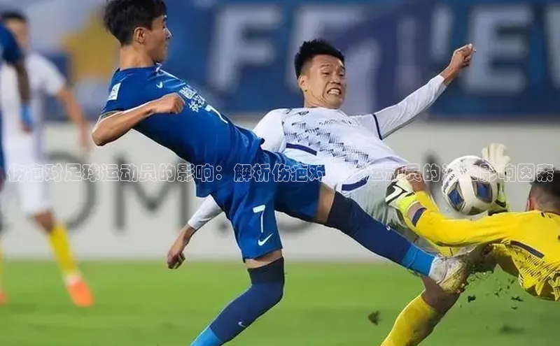 球盟会百度网盘