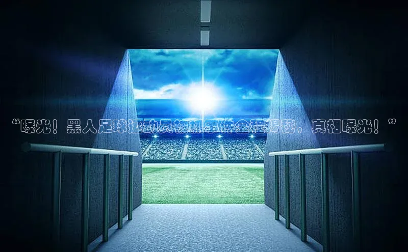 qm球盟会官方网站观星盘