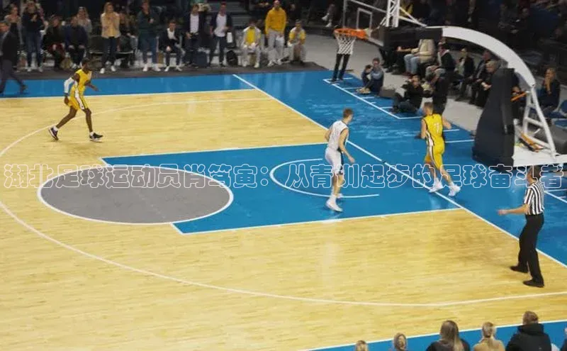 球盟体育下载app颐驰 06