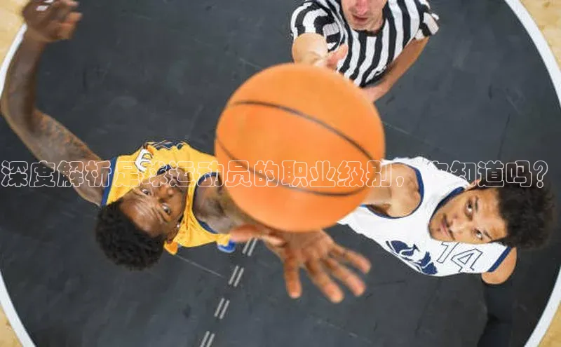 球盟会网页登录入口彩讯股份