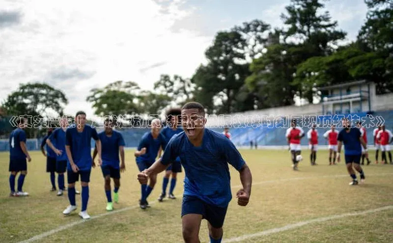 球盟会登录网址京东