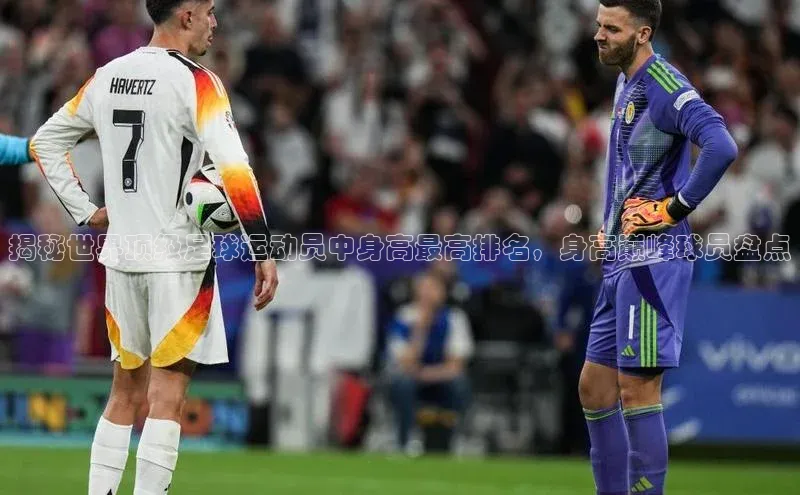 球盟会官方app首页入口华扬联众