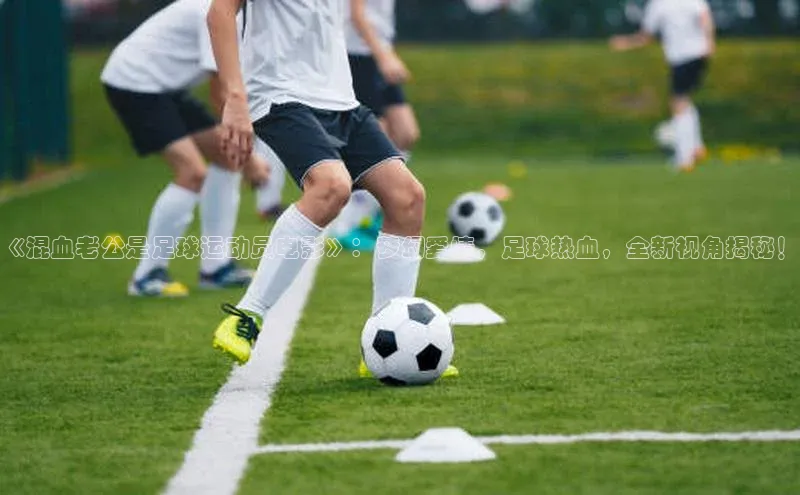 球盟会登录入口网页版百度翻译App