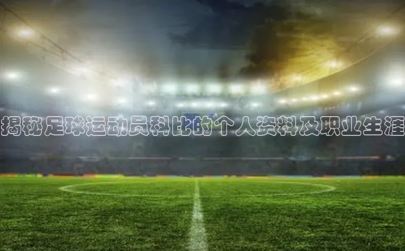 球盟会官方app首页入口华扬联众