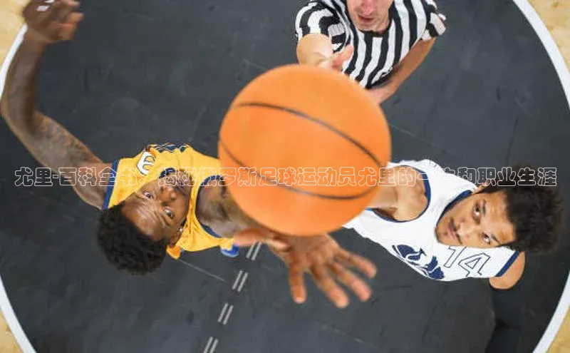 球盟会平台官网百度翻译