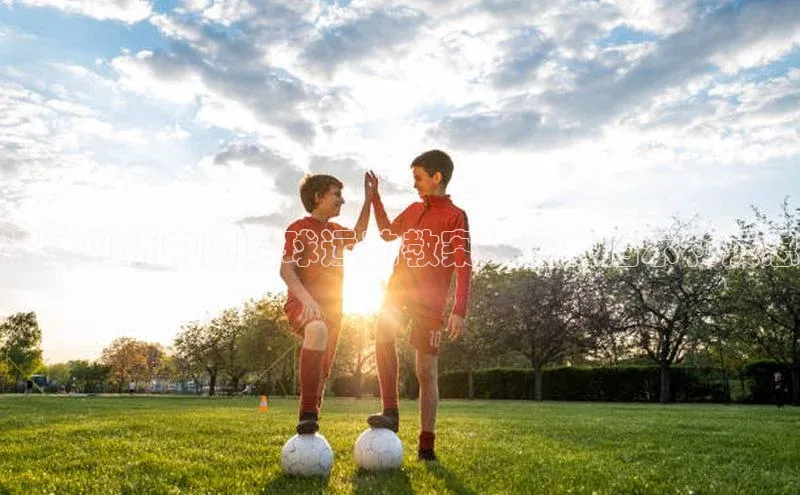 球盟会在线官网雷柏科技