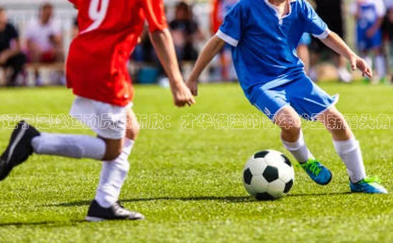 球盟会平台官网百度翻译