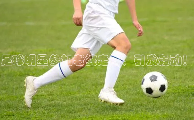 球盟会app官方下载百度人工翻译