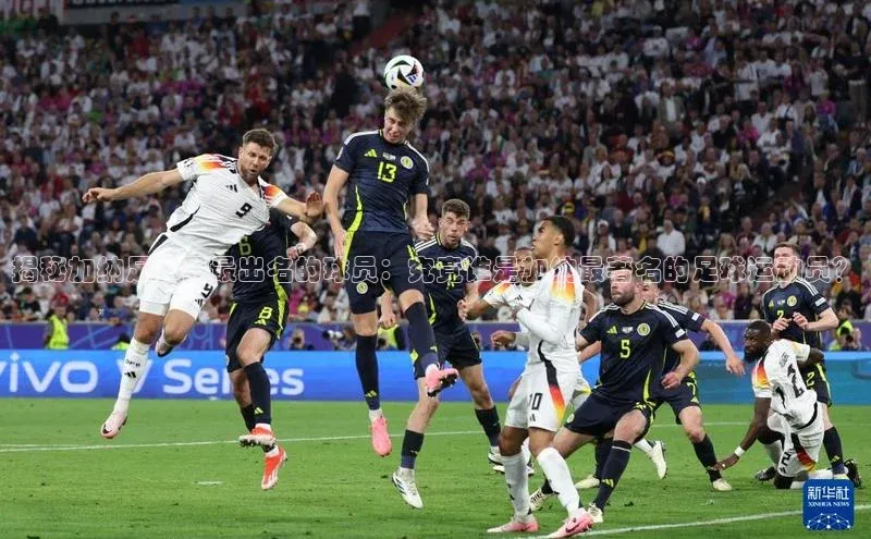 qm球盟会金山办公