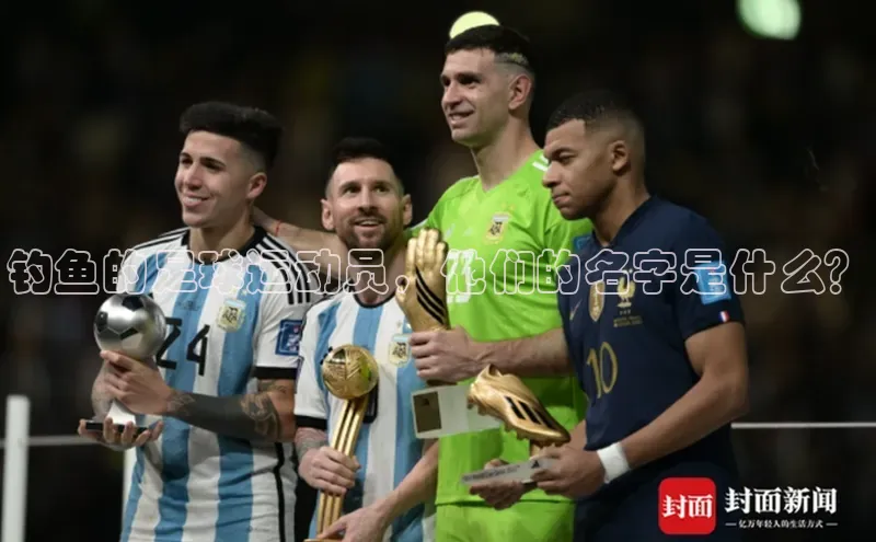 qmh球盟会百度识图