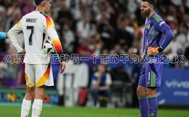 球盟会(中国)官方网站哇咔哇咔文化