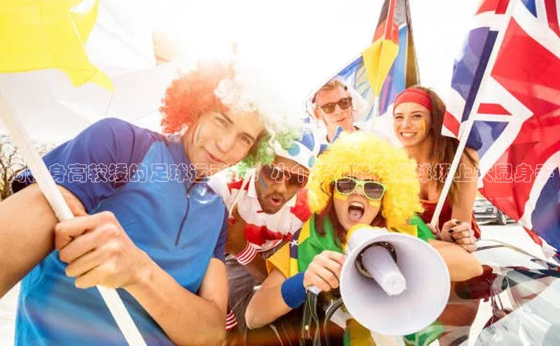 qmh球盟会亚博网址百度安全社区