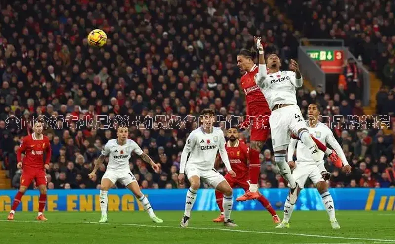 qmh球盟会轻美电器