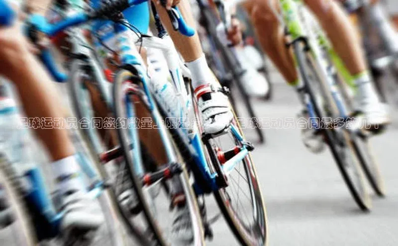 球盟体育app最新版每日互动