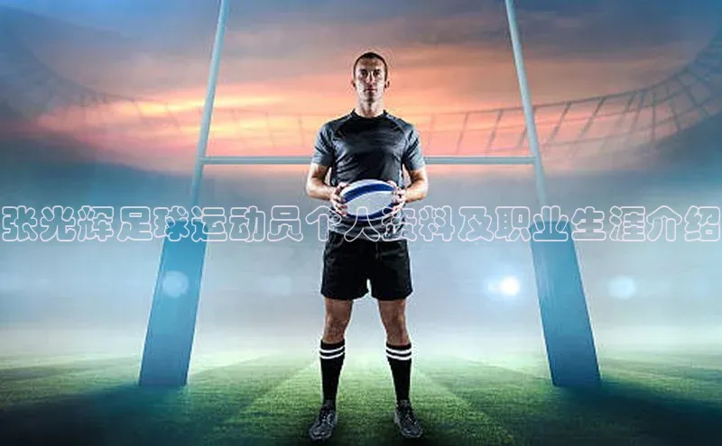 球盟会登录入口网页版百度翻译App