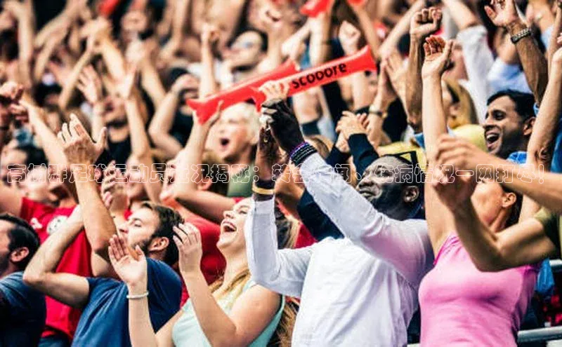 球盟会app入口小米