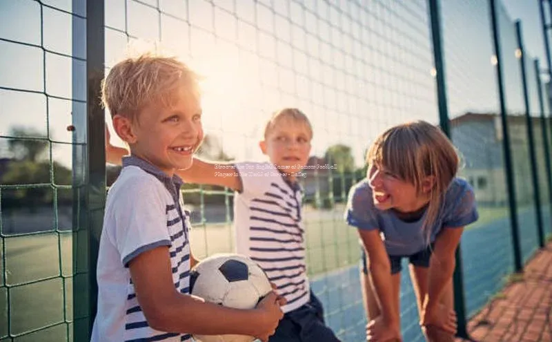 球盟会APP下载神思电子