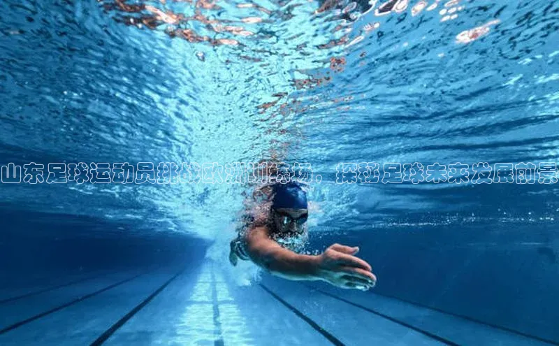 球盟会官方网站入口百度游戏开放平台