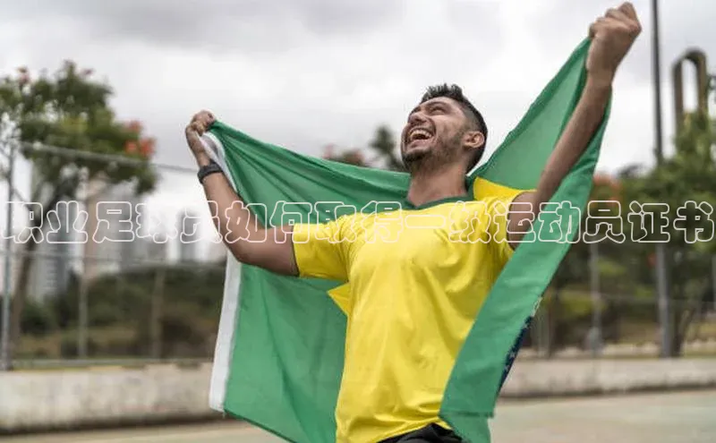 球盟会登录入口网页版百度翻译App