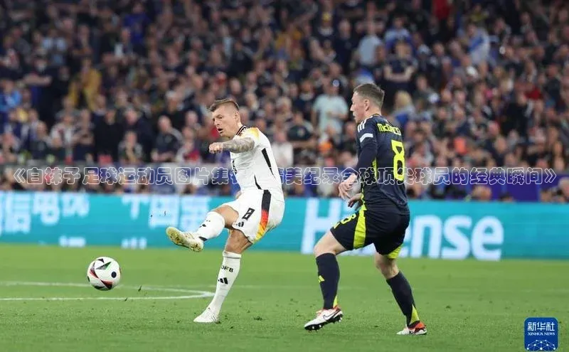 球盟会百度网盘