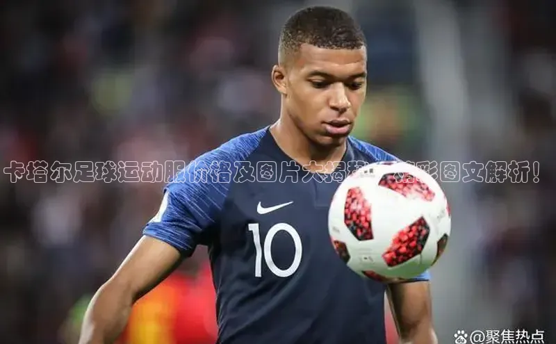 qmh球盟会轻美电器