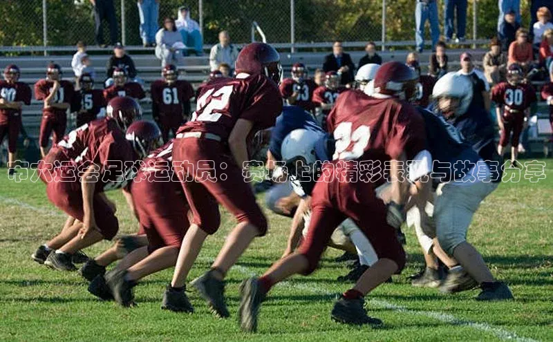 球盟会app官方下载百度人工翻译