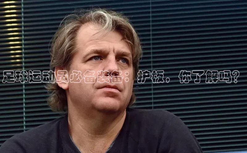 qmh球盟会百度识图