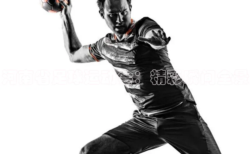 球盟会平台官网普信公司