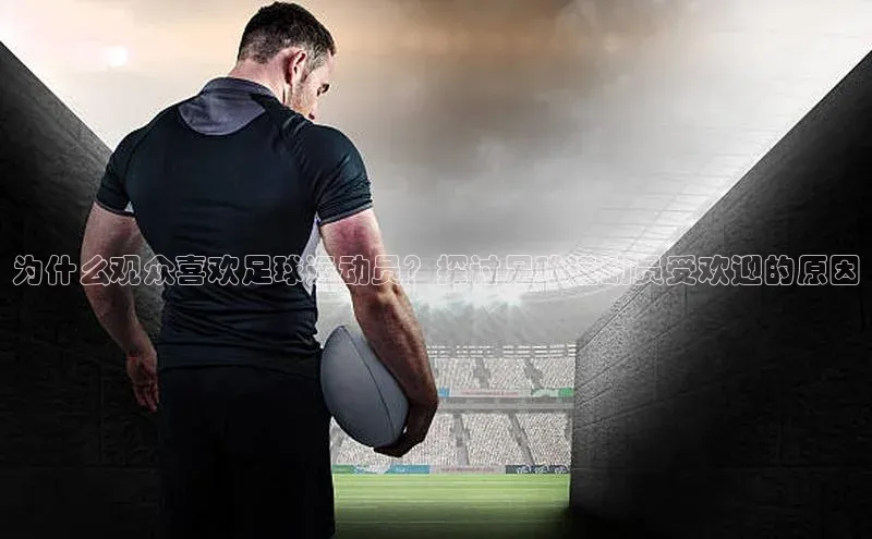 球盟会平台官网百度翻译