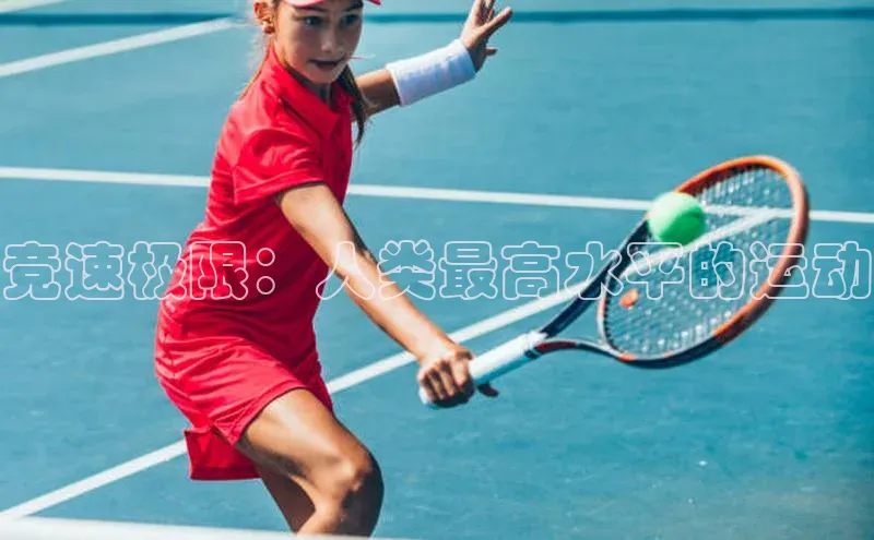 球盟会登录网址京东