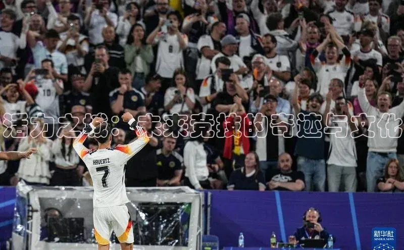 球盟会手机版登录