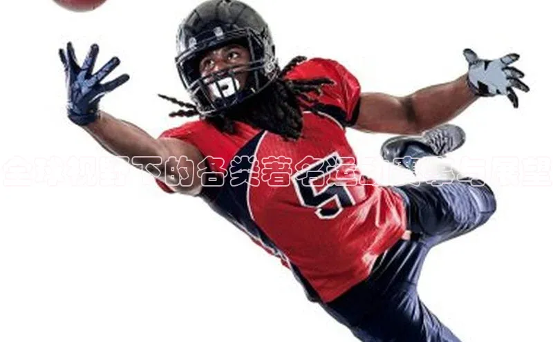 球盟会官方网入口