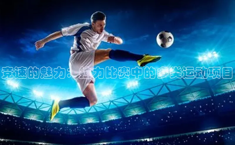 球盟会官方网页登录