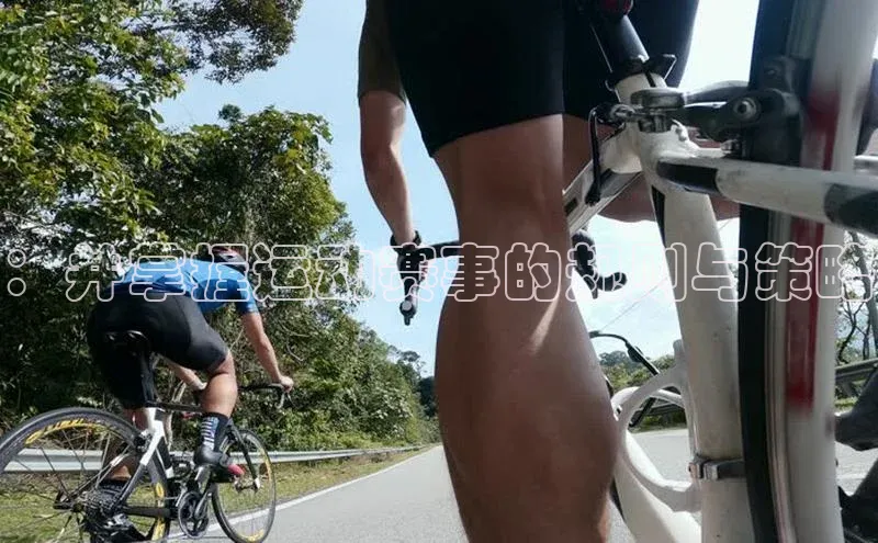 球盟会登录入口网页版