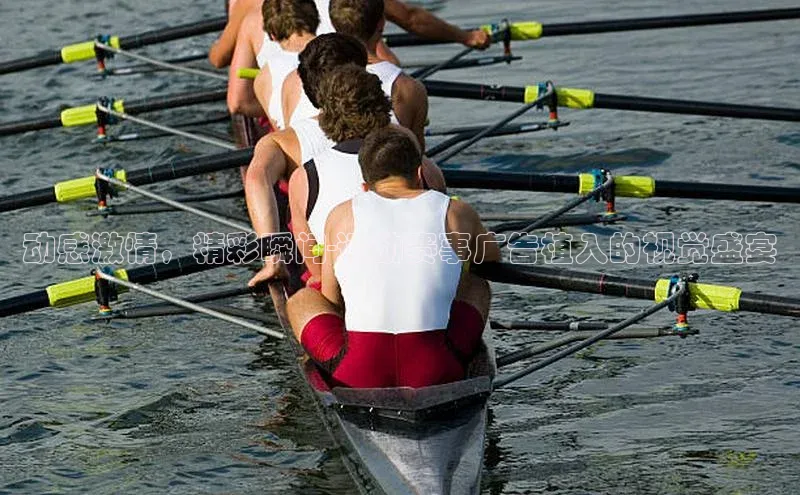 球盟会官网登录入口