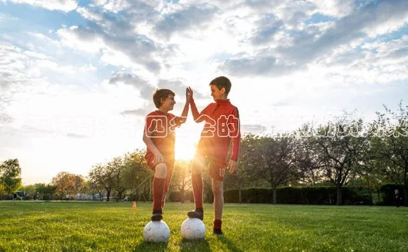 球盟会手机版登录