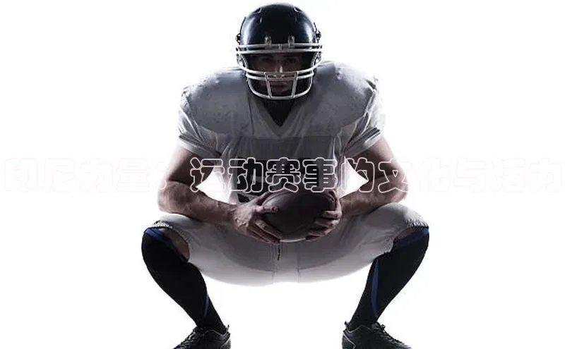 球盟会网页登录入口