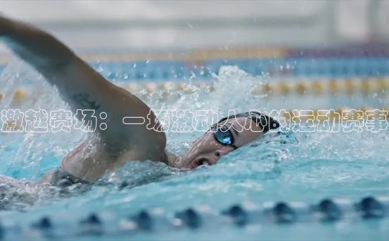 球盟会登录入口网页版