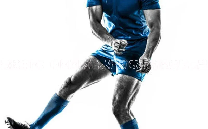 球盟会登录入口网页版