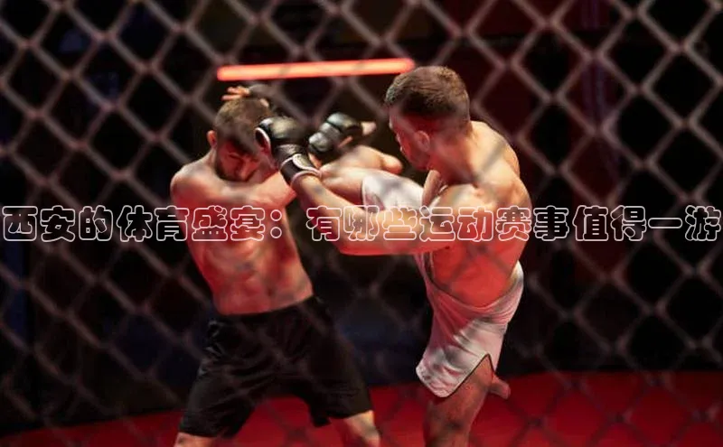 球盟会手机网页版